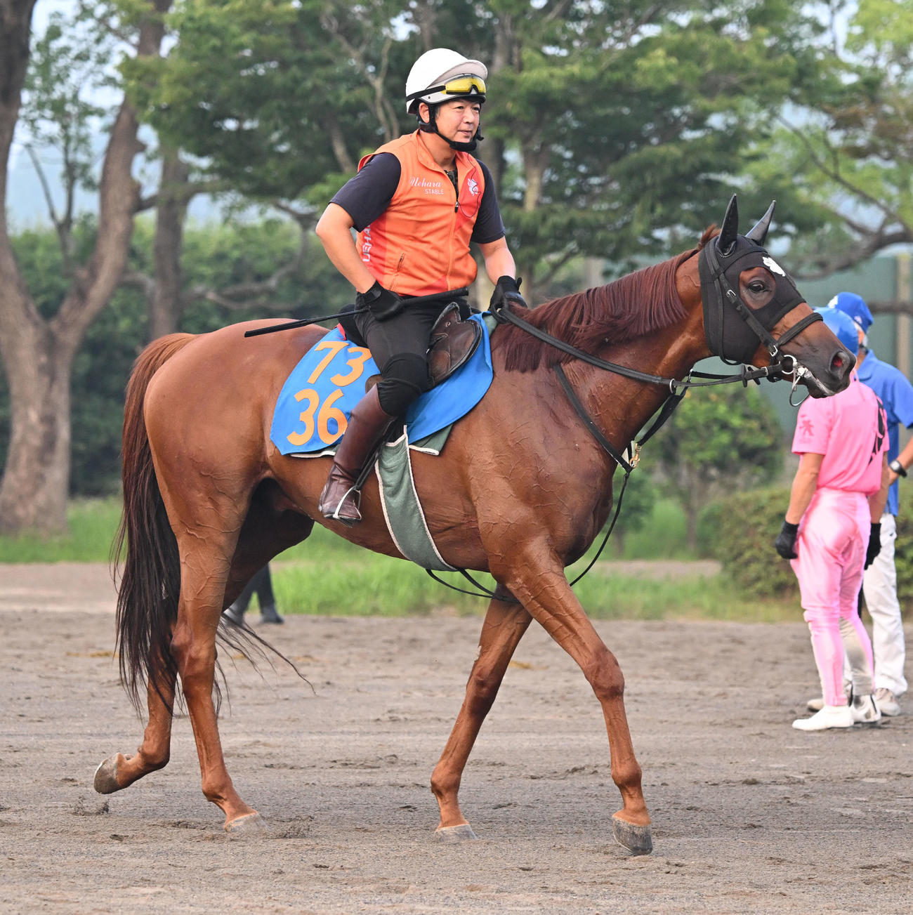 馬場を出るニシノレヴナント（撮影・千葉一成）