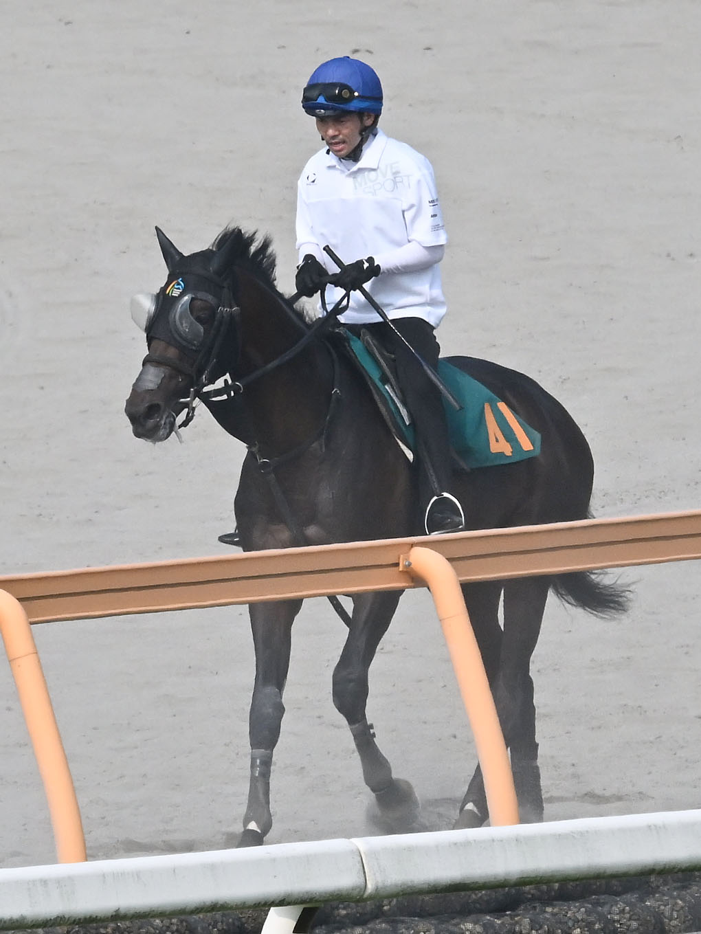 戸崎圭太騎手を背に運動するガードオブオナー（撮影・千葉一成）