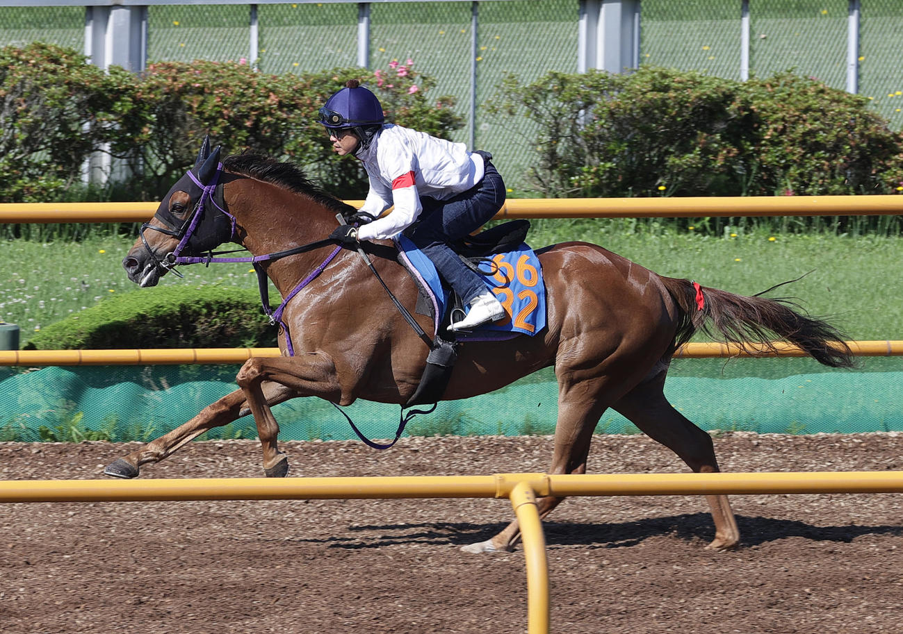 松岡正海騎手を背に、函館ウッドチップコースで追い切られるウインシュクラン
