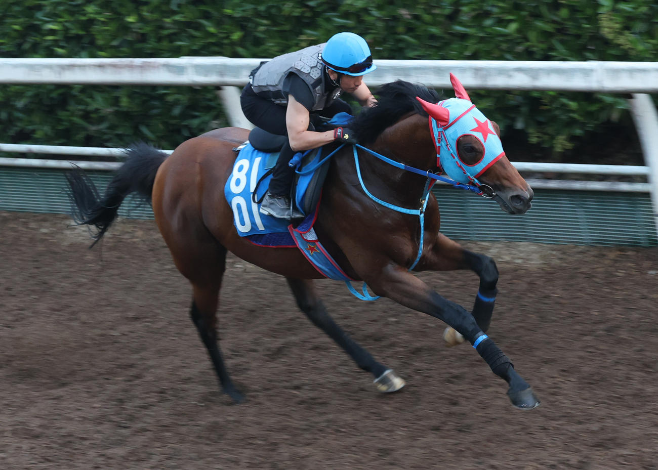 坂路で追い切るロコポルティ