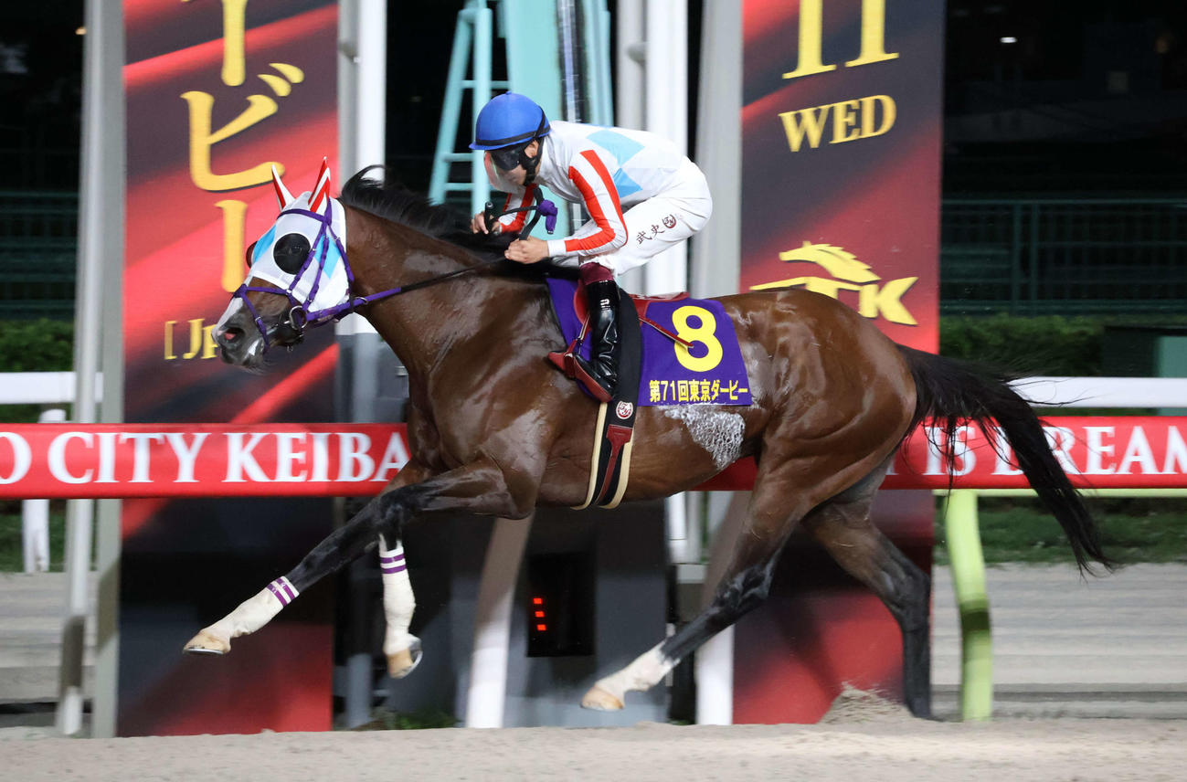 東京ダービーを制したナチュラルライズと横山武騎手