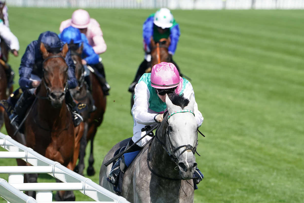 セントジェームズパレスSを制したフィールドオブゴールド（C）Ascot Racecourse,Megan Coggin