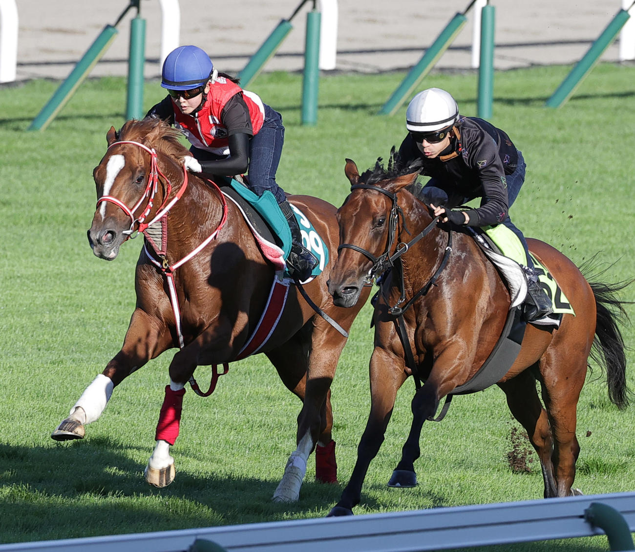 函館芝コースで、古川奈穂騎手を背に、併せ馬で追い切られるモズプリフォール（左）
