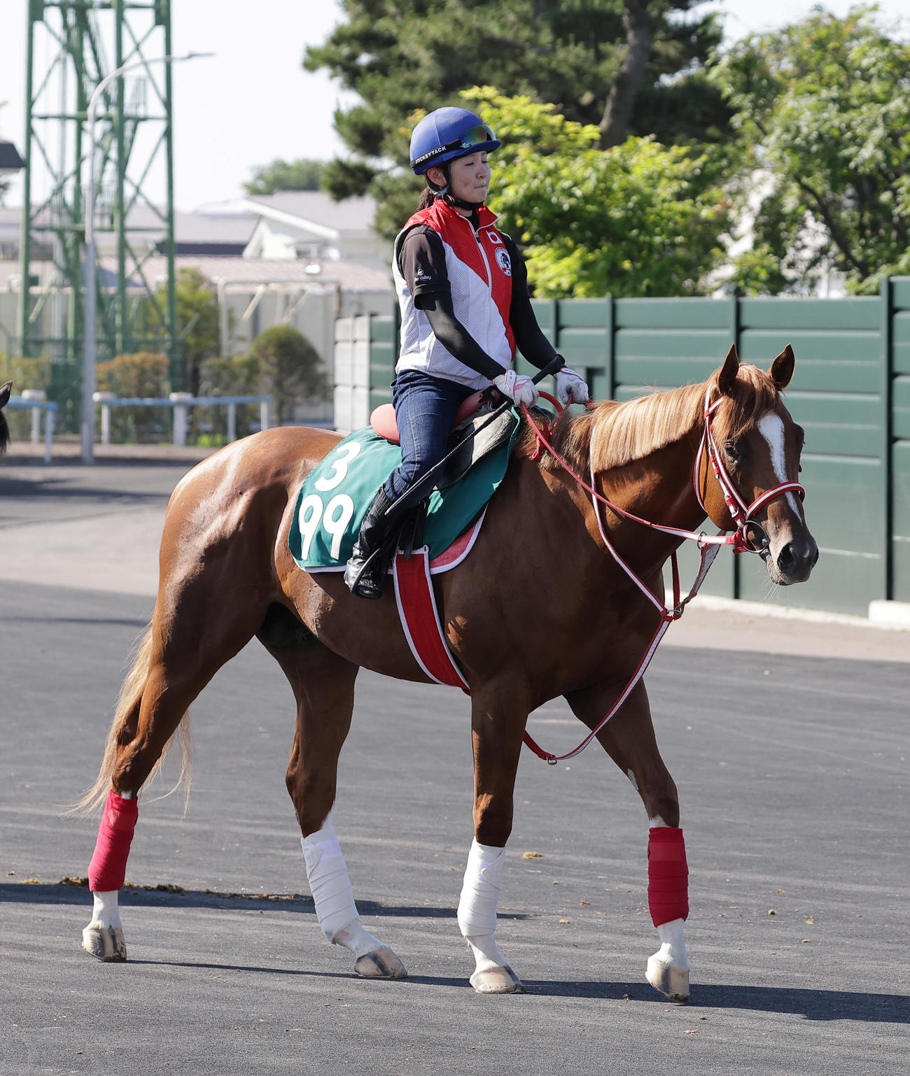 函館競馬場で調整するモズプリフォール