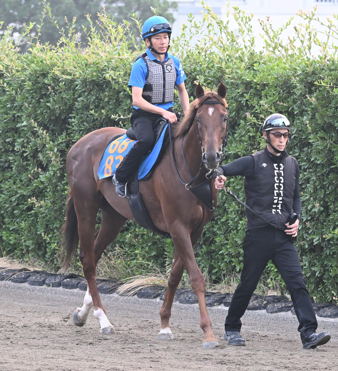 9日、馬場に向かうコスモフリーゲン