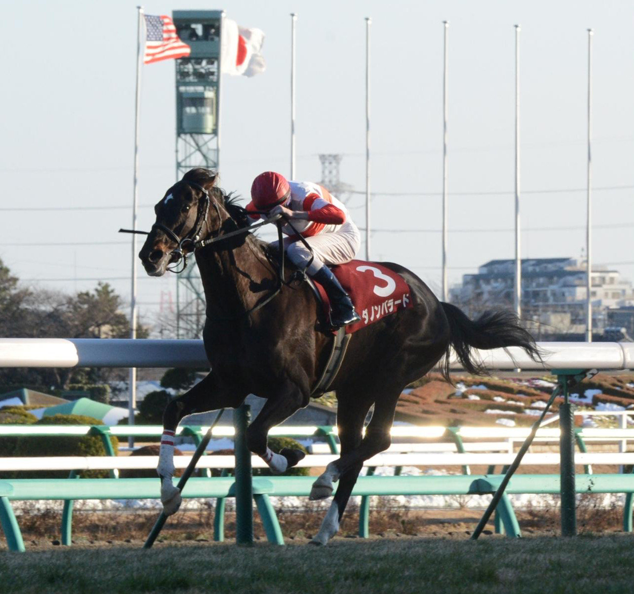2013年、AJCCを制したダノンバラード