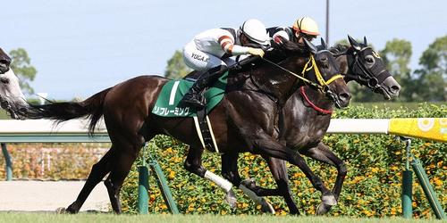 コスタボニータ(右)との接戦を制して小倉記念を勝利したリフレーミング=2024年8月11日、中京競馬場