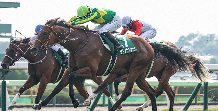 函館２歳ステークスを制したサトノカルナバル＝2024年７月13日、函館競馬場