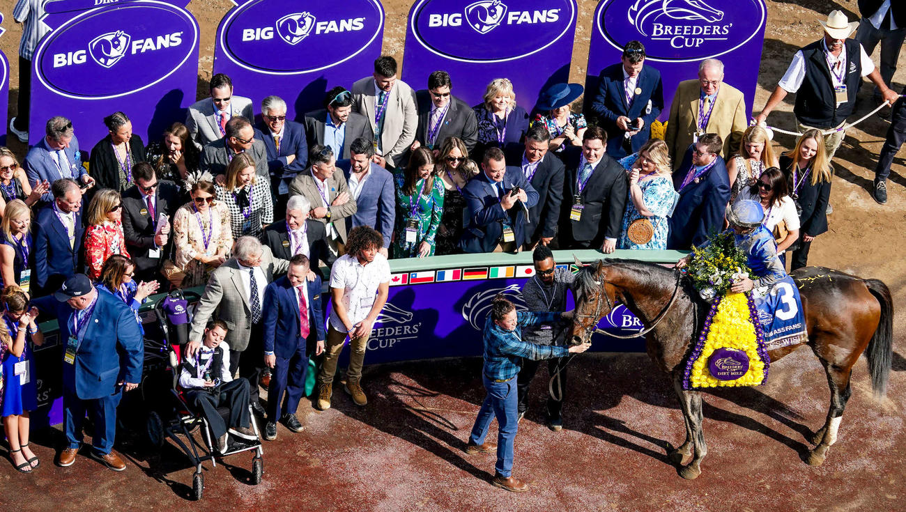 コディーズウィッシュ（C）John Voorhees／Eclipse Sportswire／Breeders Cup