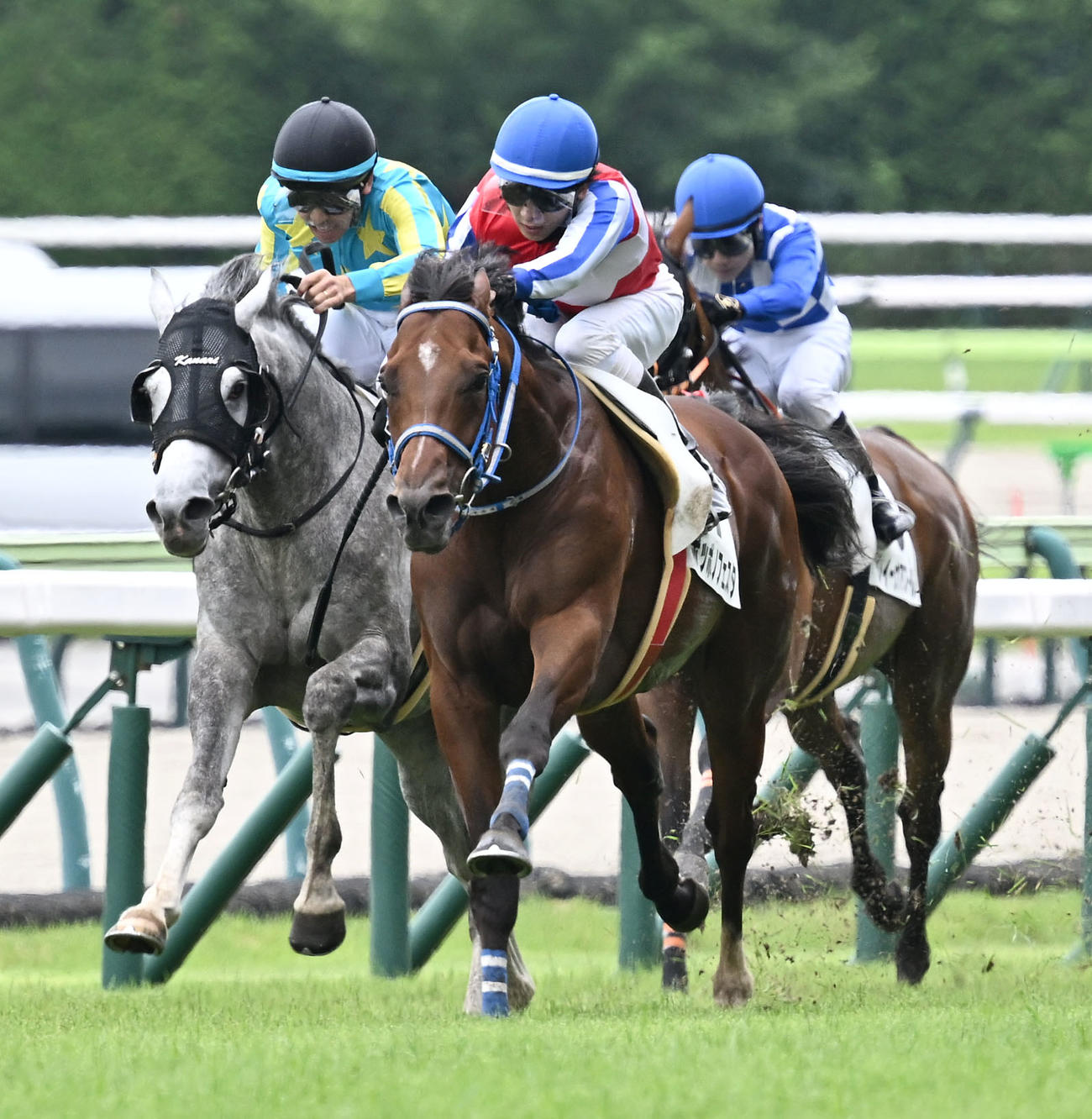 福島4R、3歳未勝利戦を制したポッポノフェスタと西村太騎手（中央）（撮影・千葉一成）