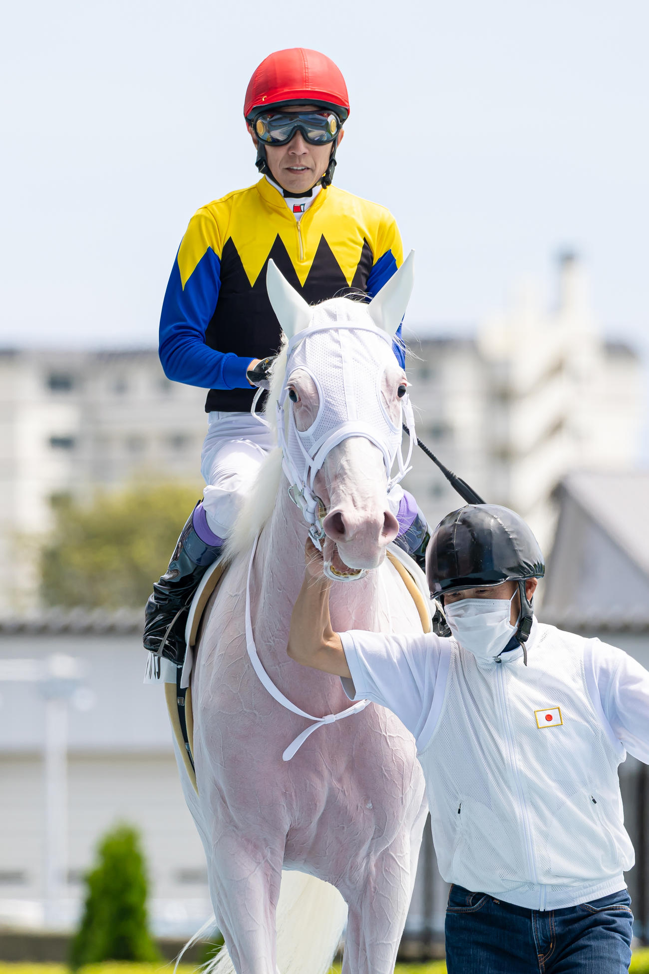 函館5R、デビュー戦を制したマルガと武豊騎手（撮影・村野早祐）