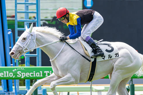 マルガ、武豊騎手で新馬V！ 白毛馬のデビュー勝ちは00年以降9頭目 姉