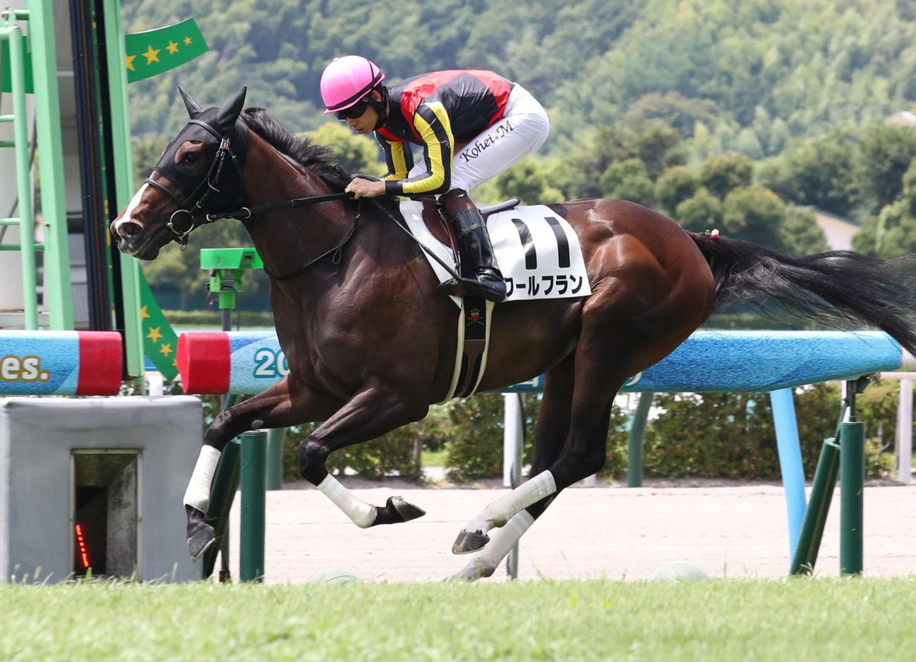 デビュー勝ちを飾ったクールフランと松山弘平騎手（撮影・梅根麻紀）