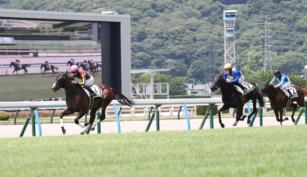 2歳新馬を制したクールフランと松山騎手（撮影・梅根麻紀）