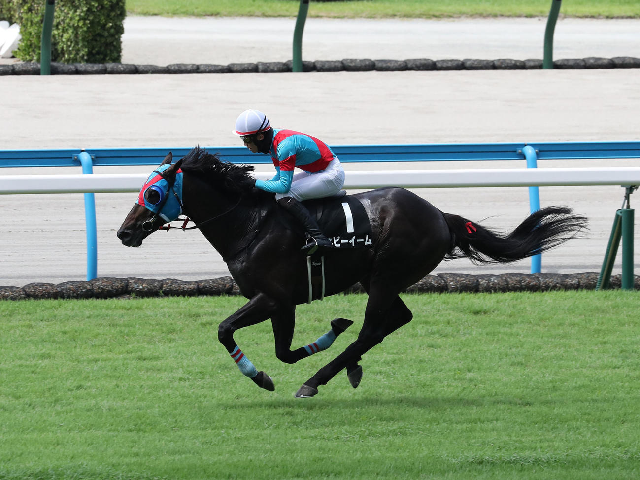 小倉4RソレイユジャンプSを制したネビーイームと小牧騎手（撮影・梅根麻紀）