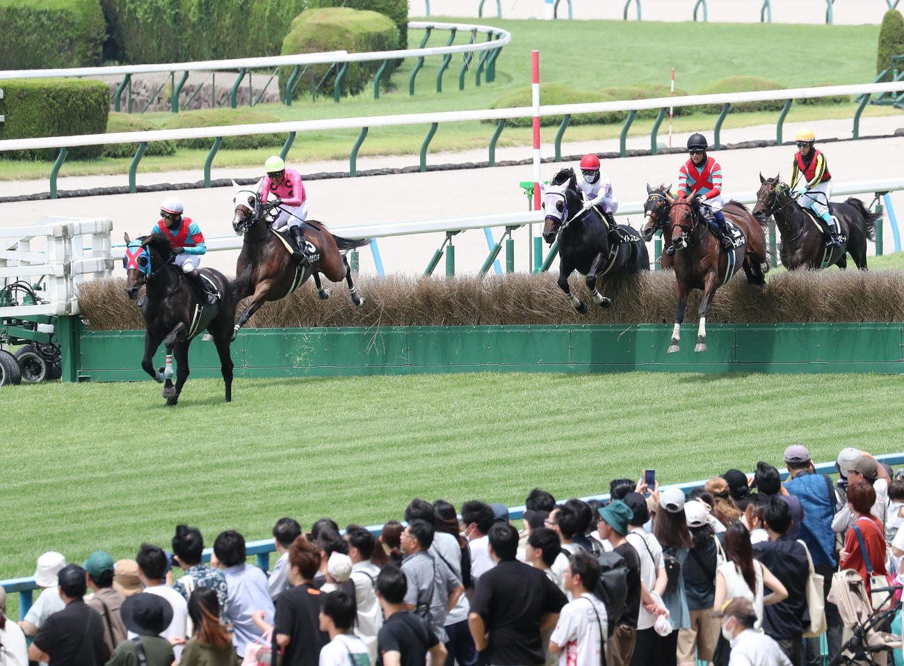 小倉4RソレイユジャンプSを制したネビーイームと小牧騎手（左）（撮影・梅根麻紀）