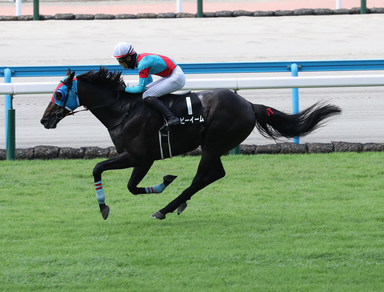 小倉4RソレイユジャンプSを制したネビーイームと小牧騎手（撮影・梅根麻紀）