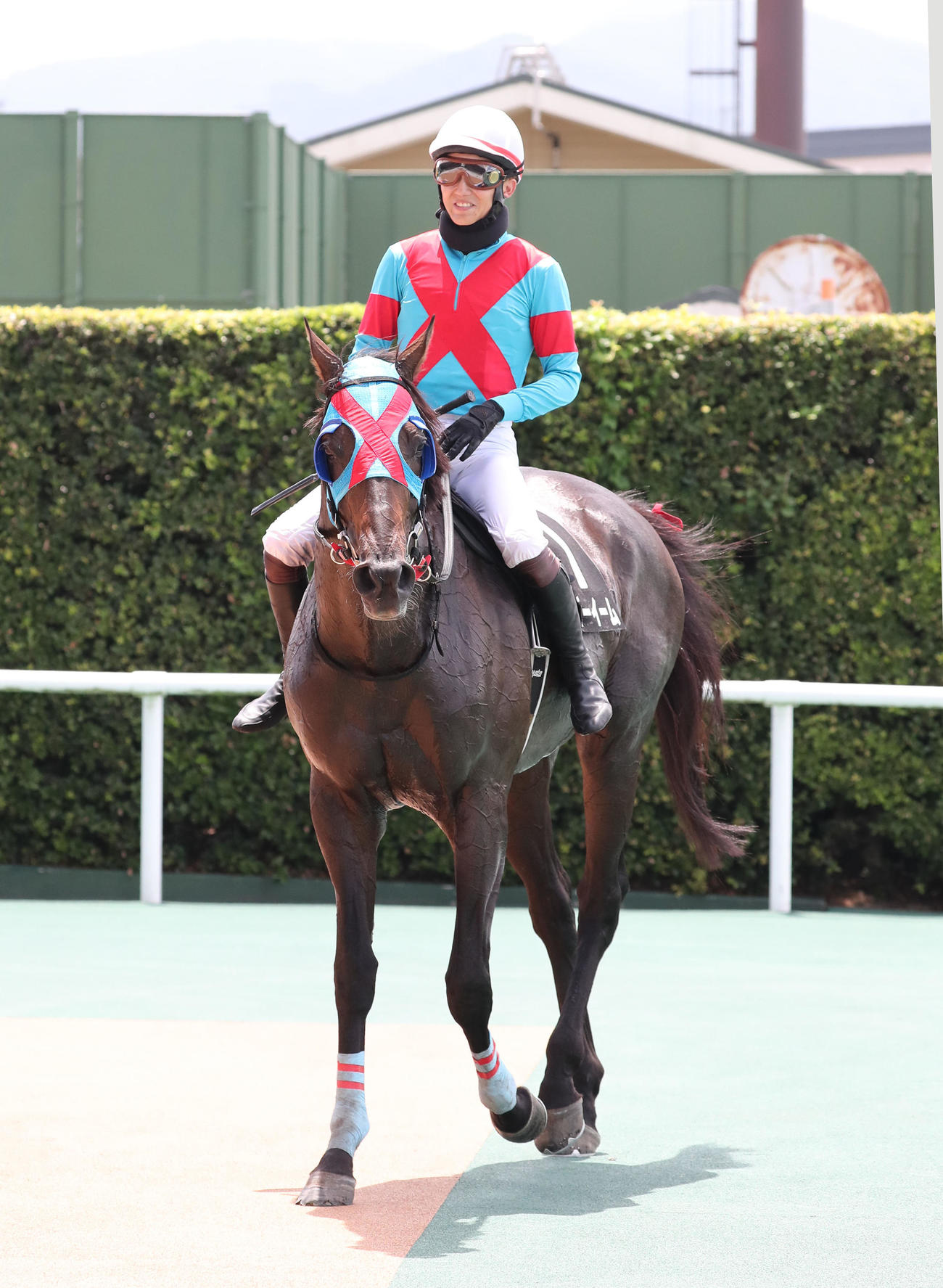 小倉4RソレイユジャンプSを制したネビーイームと小牧騎手（撮影・梅根麻紀）
