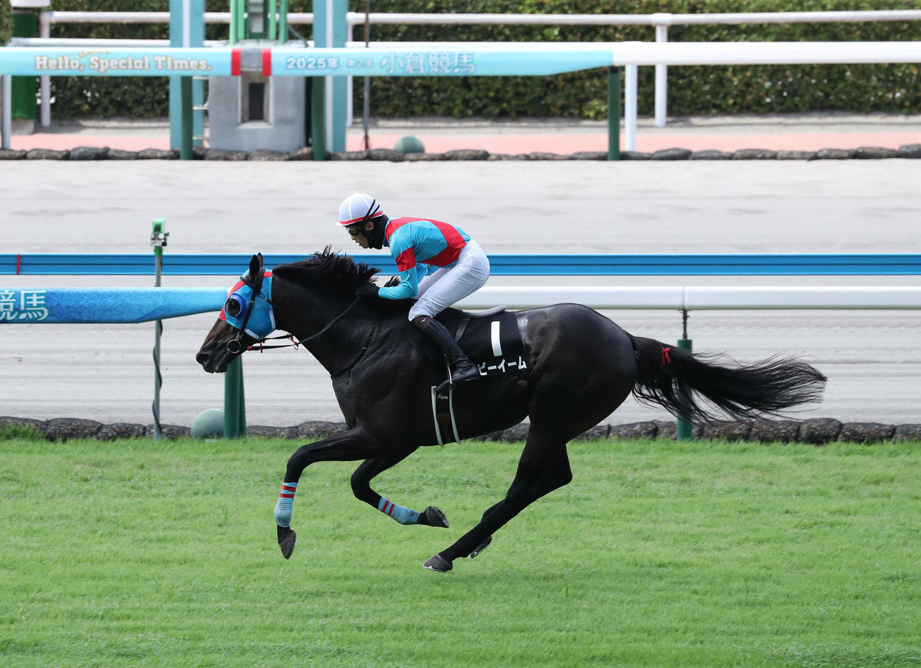 ソレイユジャンプSを制した1番ネビーイームと小牧加騎手（撮影・梅根麻紀）