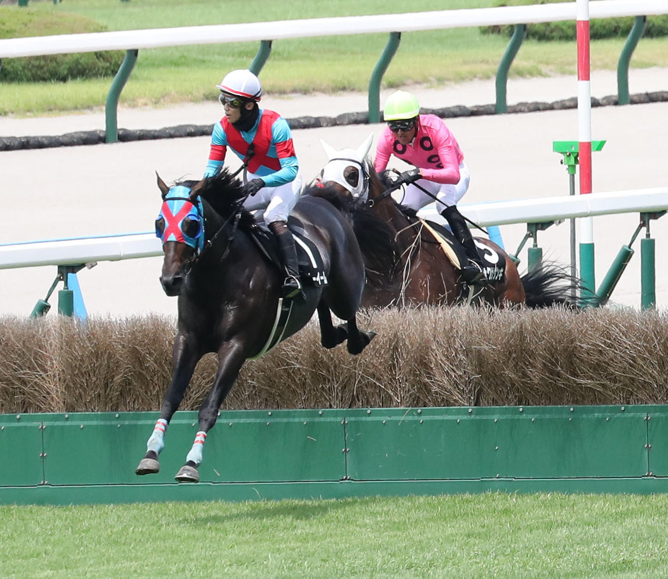 小倉4RソレイユジャンプSを制したネビーイームと小牧騎手（左）（撮影・梅根麻紀）