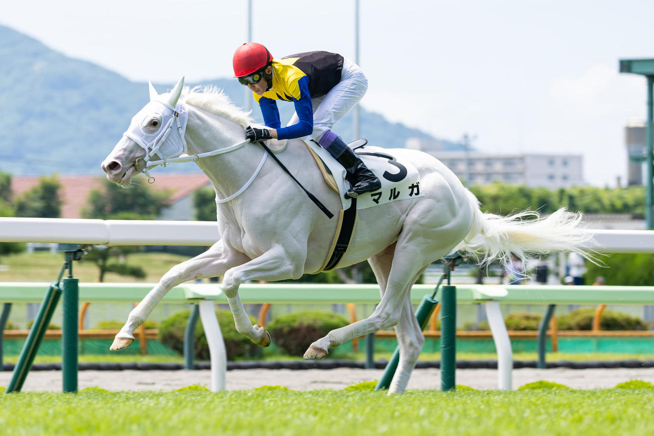 函館5R、デビュー戦をレコードタイムで制したマルガと武豊騎手（撮影・村野早祐）
