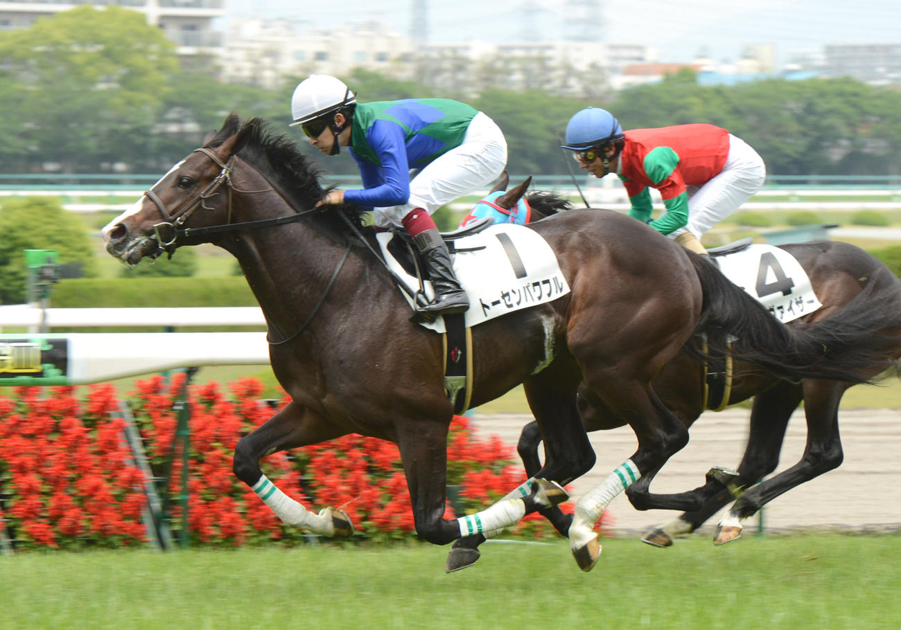 12年6月、新馬戦を快勝したトーセンパワフル
