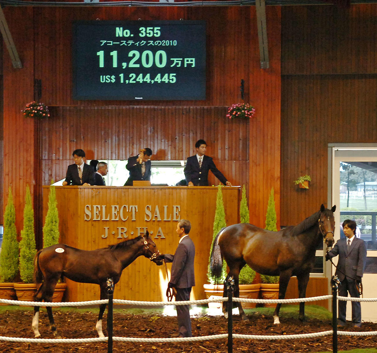 セレクトセール　1億1，200万円の値を付けたアコースティクスの2010（左　父ネオユニヴァース）＝10年7月13日（撮影・岸川学）