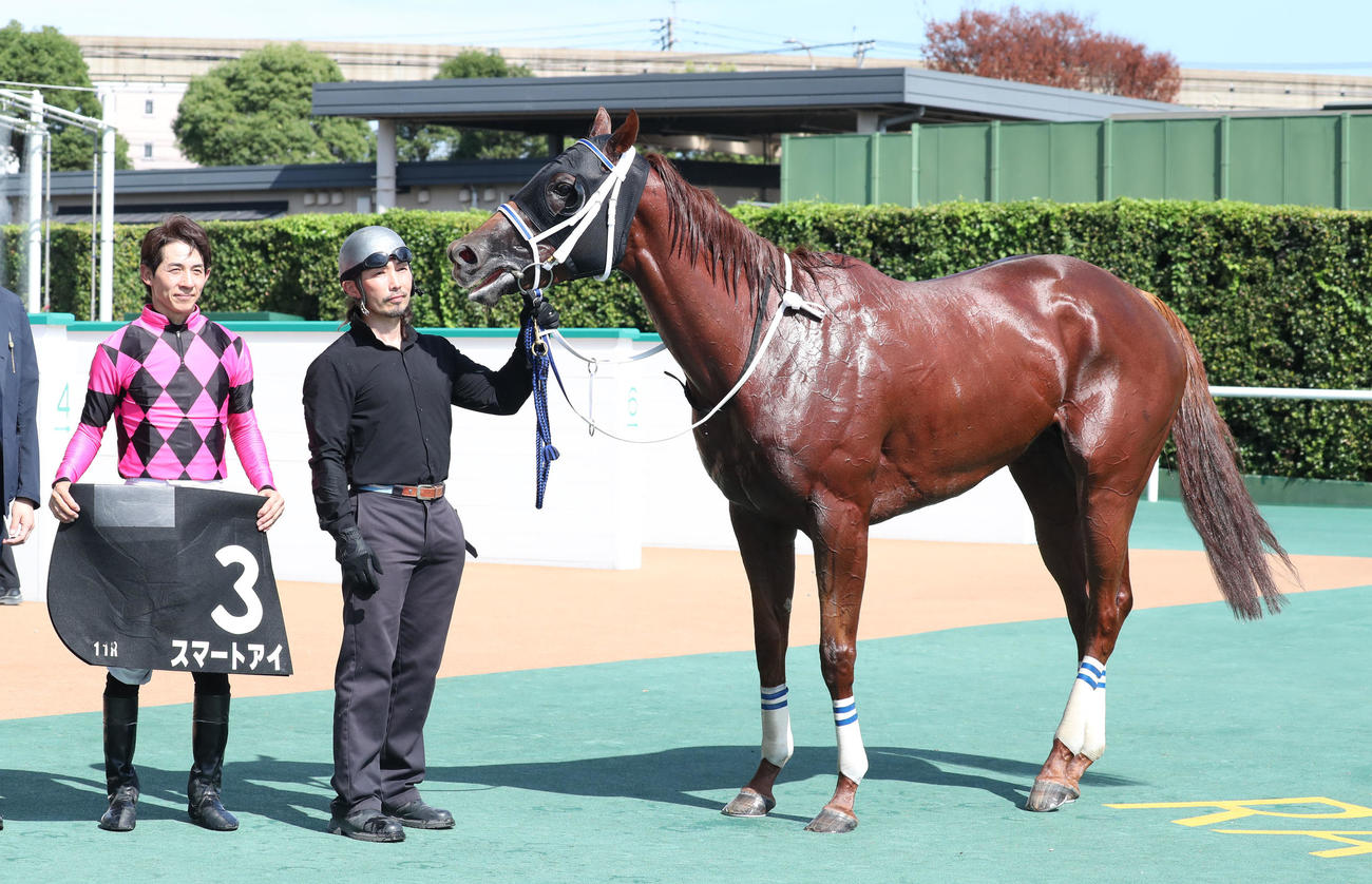 小倉11R釜山Sを制したスマートアイと口取りに並ぶ幸騎手（撮影・梅根麻紀）