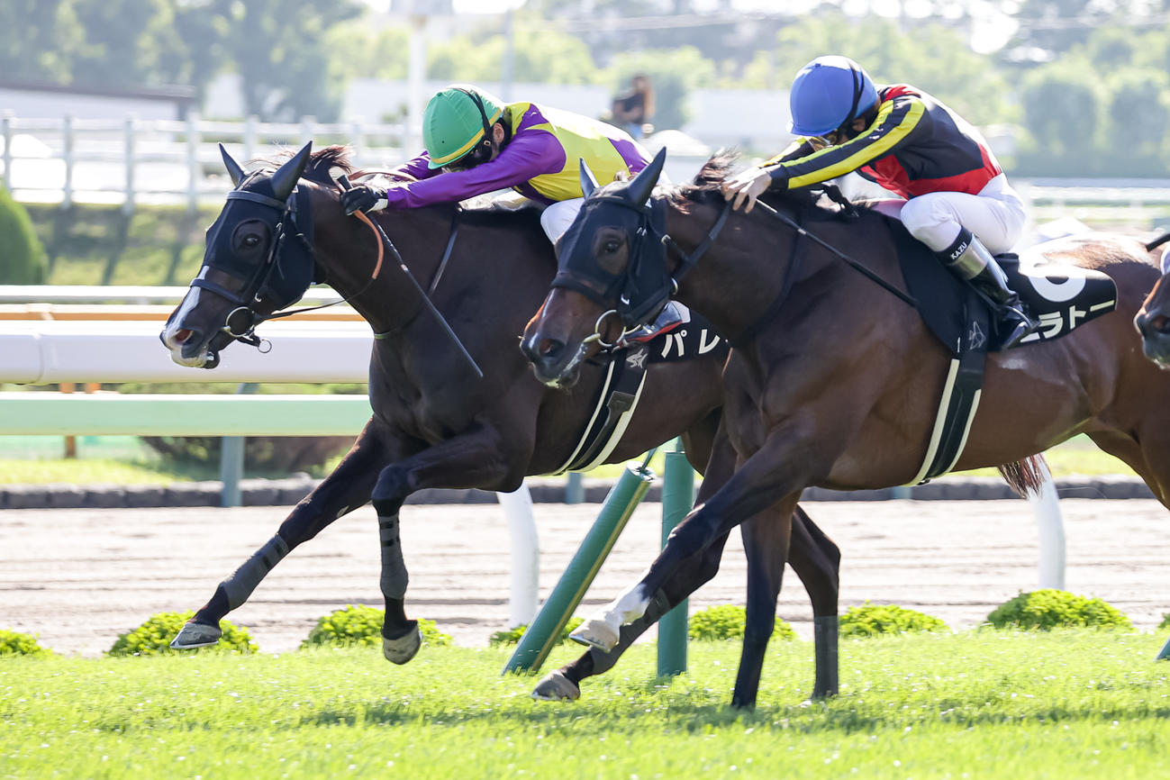 函館11R、五稜郭Sを制したパレハと鮫島駿騎手（左）（撮影・村野早祐）