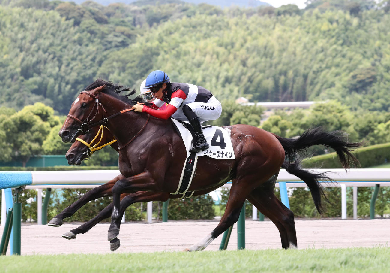 2歳新馬を制したウイナーズナインと川田騎手（撮影・梅根麻紀）