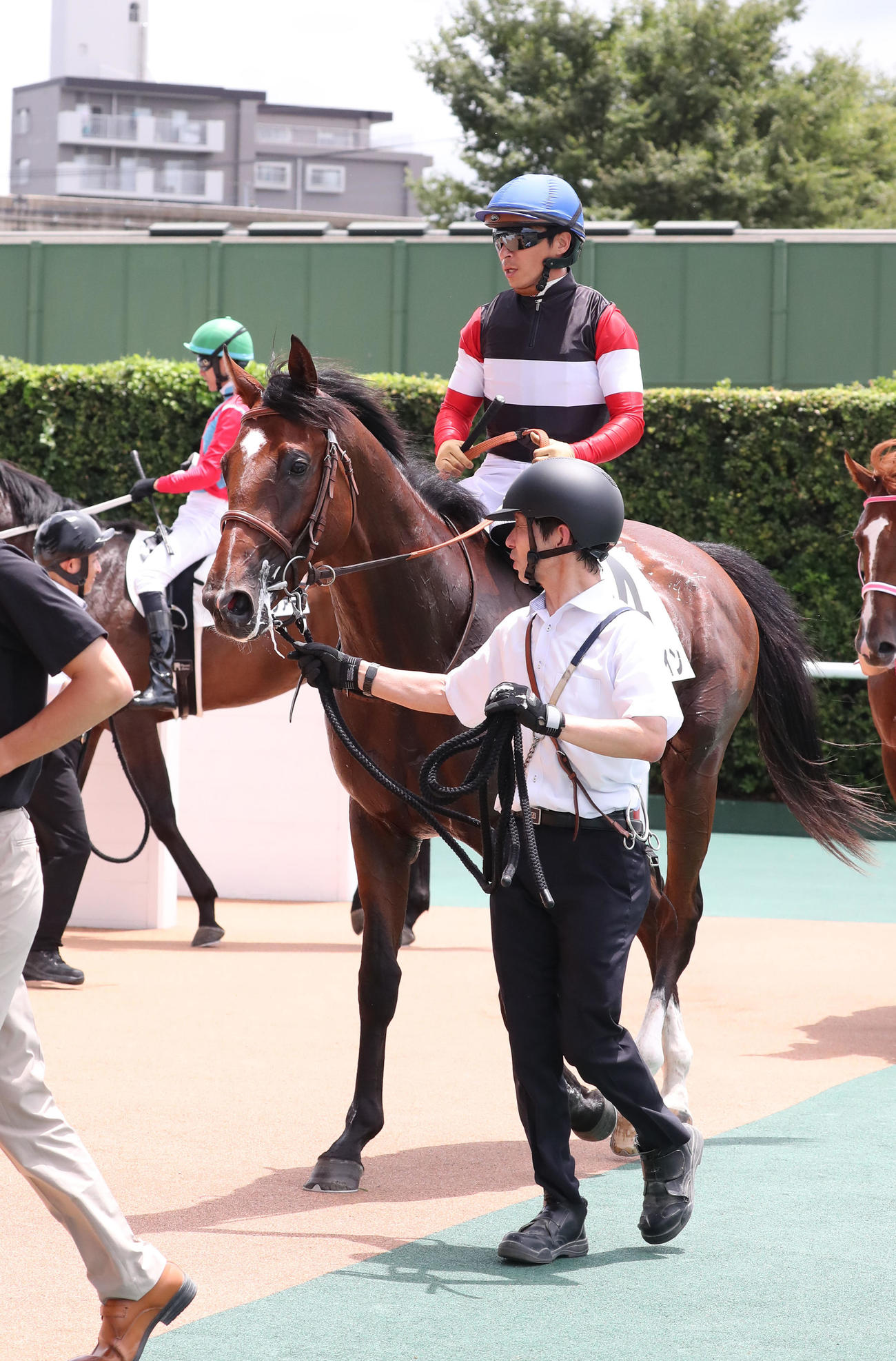 2歳新馬を制したウイナーズナインと川田騎手（撮影・梅根麻紀）