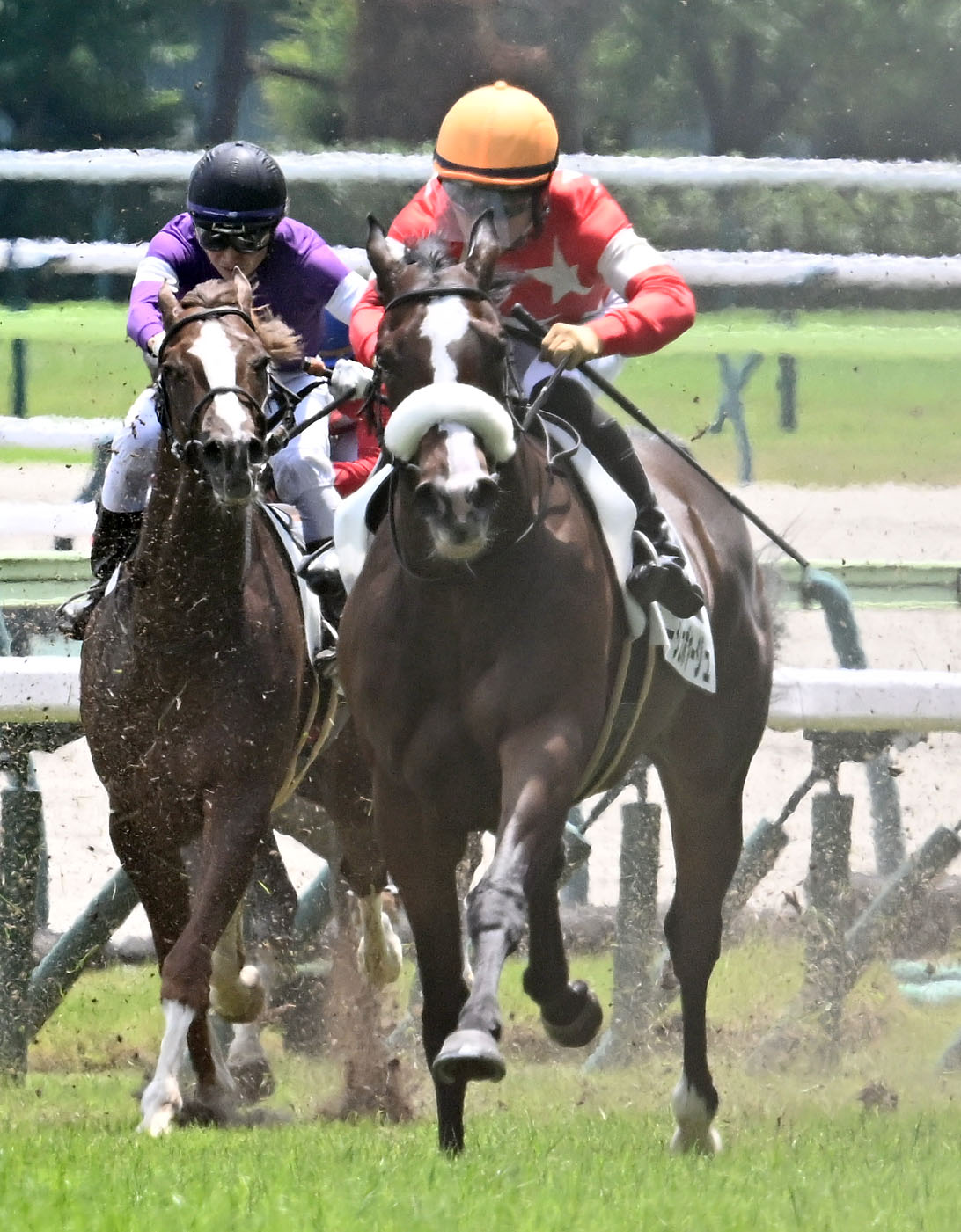 福島5R新馬戦を制したルージュボヤージュと荻野騎手（右）（撮影・千葉一成）