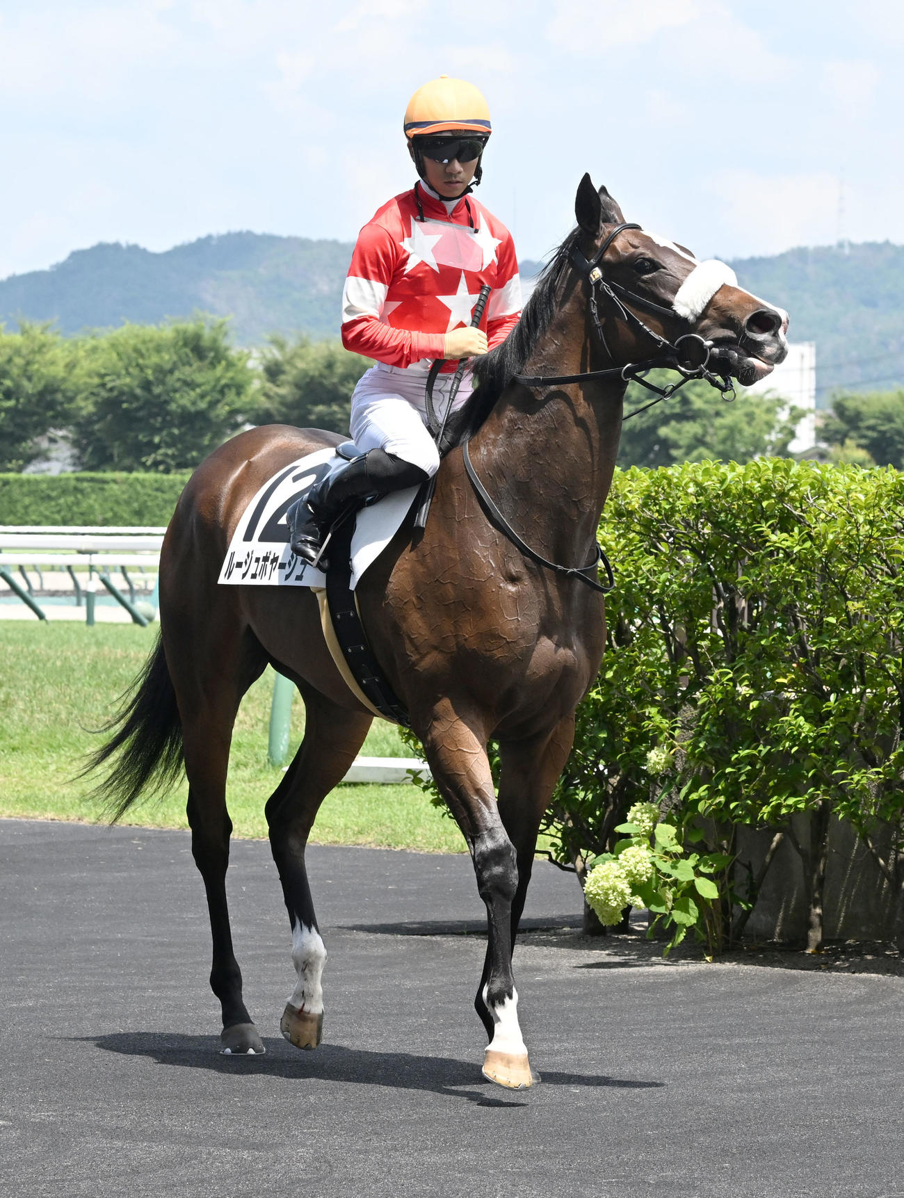 福島5R新馬戦を制したルージュボヤージュと荻野騎手（撮影・千葉一成）