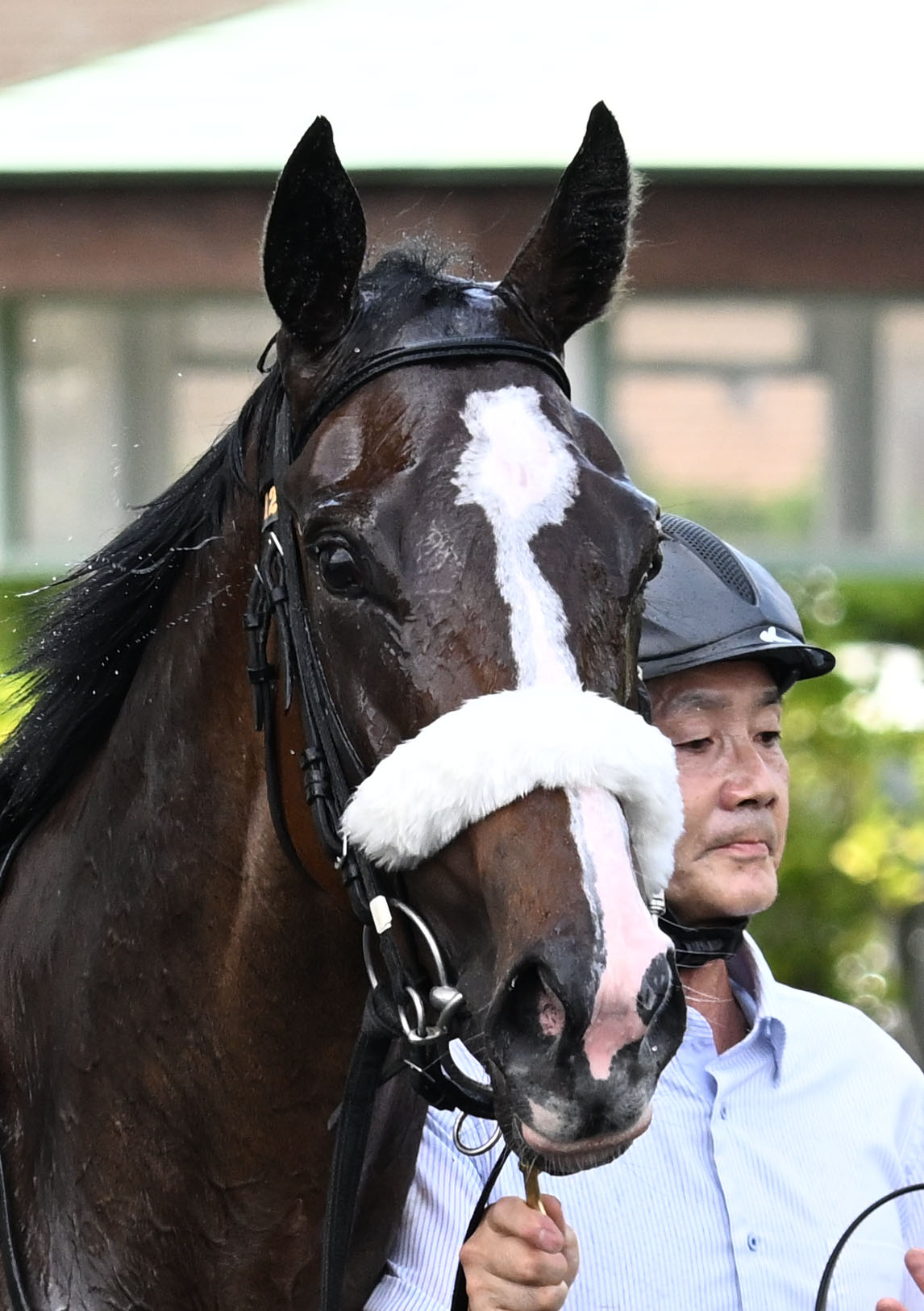 福島5R新馬戦を制したルージュボヤージュ（撮影・千葉一成）