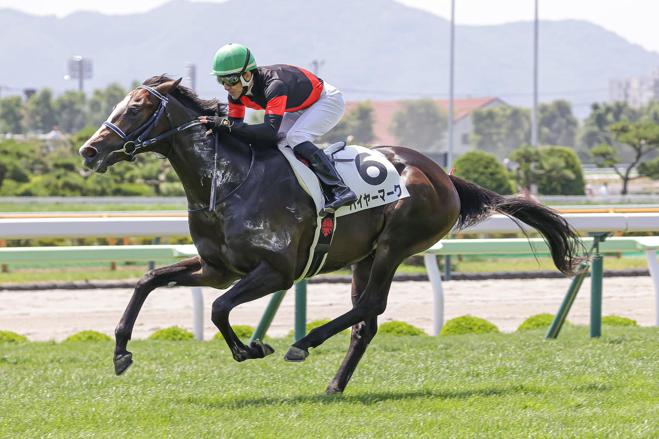 函館5R、デビュー戦を制したハイヤーマークと丹内騎手（撮影・村野早祐）