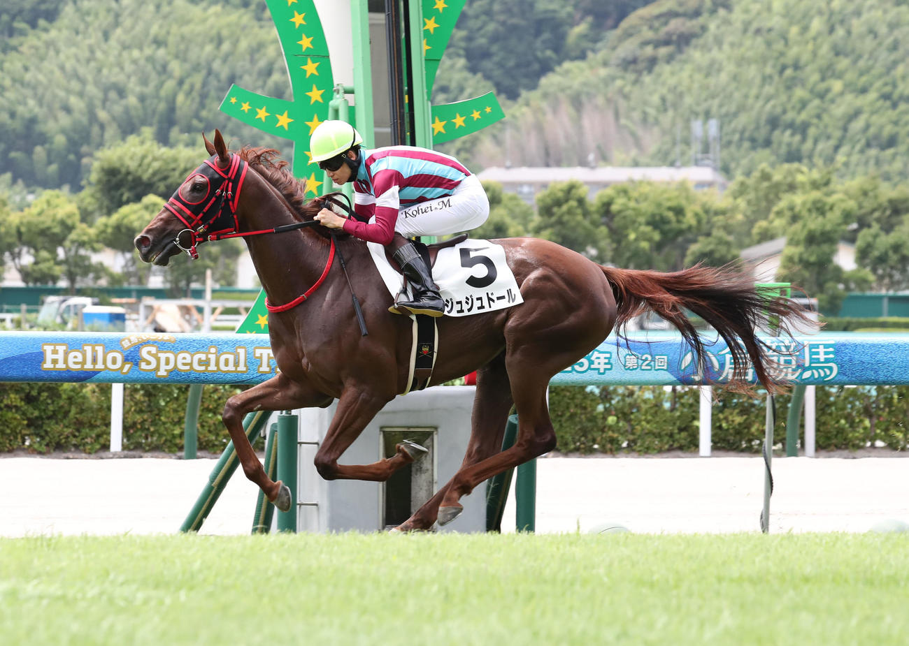 小倉6R、ジュジュドールと松山騎手は後続を引き離し2歳新馬戦を制す（撮影・梅根麻紀）