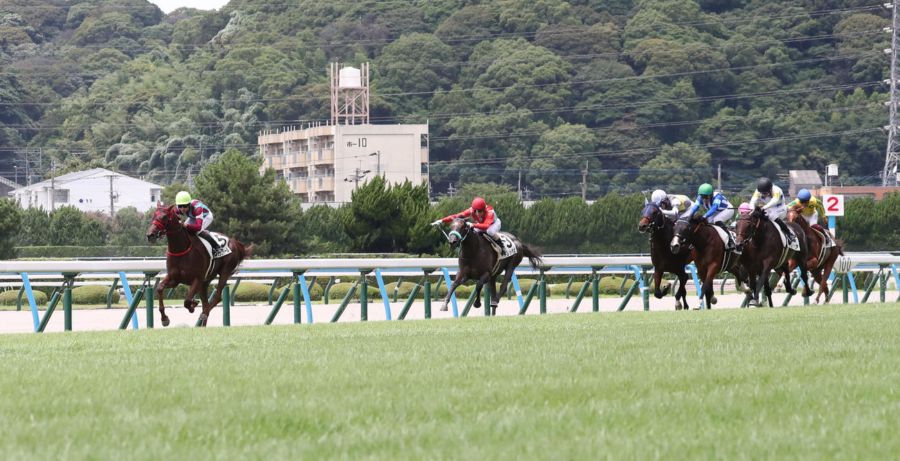 小倉6R、5番ジュジュドールと松山騎手は後続を引き離し2歳新馬戦を制す（撮影・梅根麻紀）