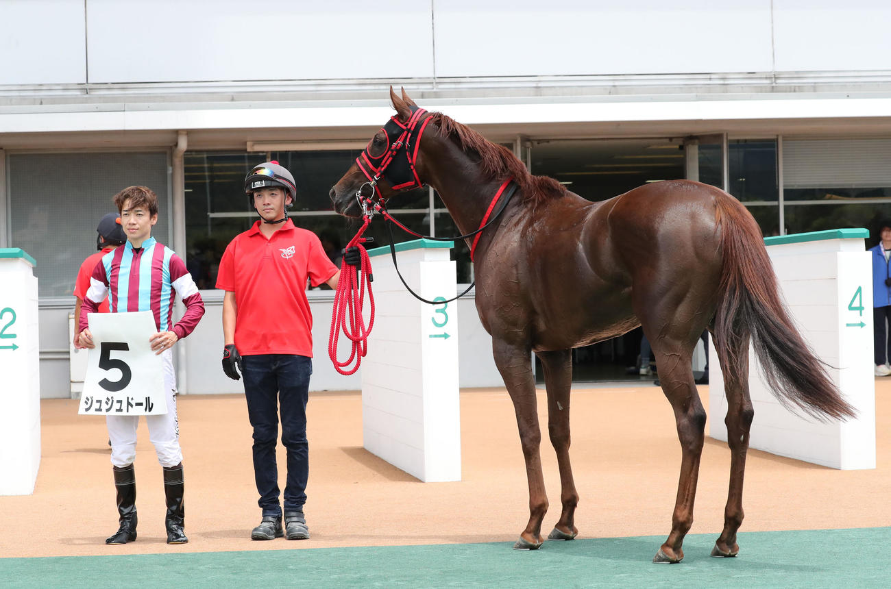 小倉6R、2歳新馬戦を勝ったジュジュドールと口取りに並ぶ松山騎手（撮影・梅根麻紀