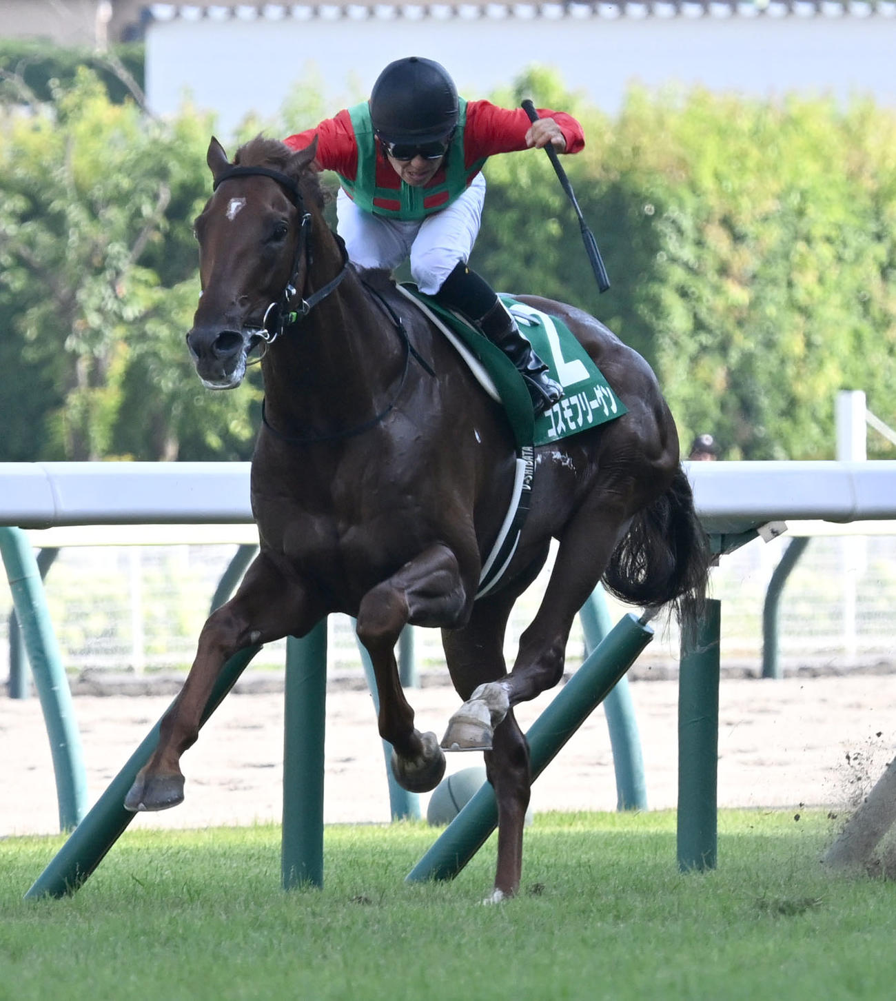 七夕賞を制したコスモフリーゲンと柴田騎手（撮影・千葉一成）