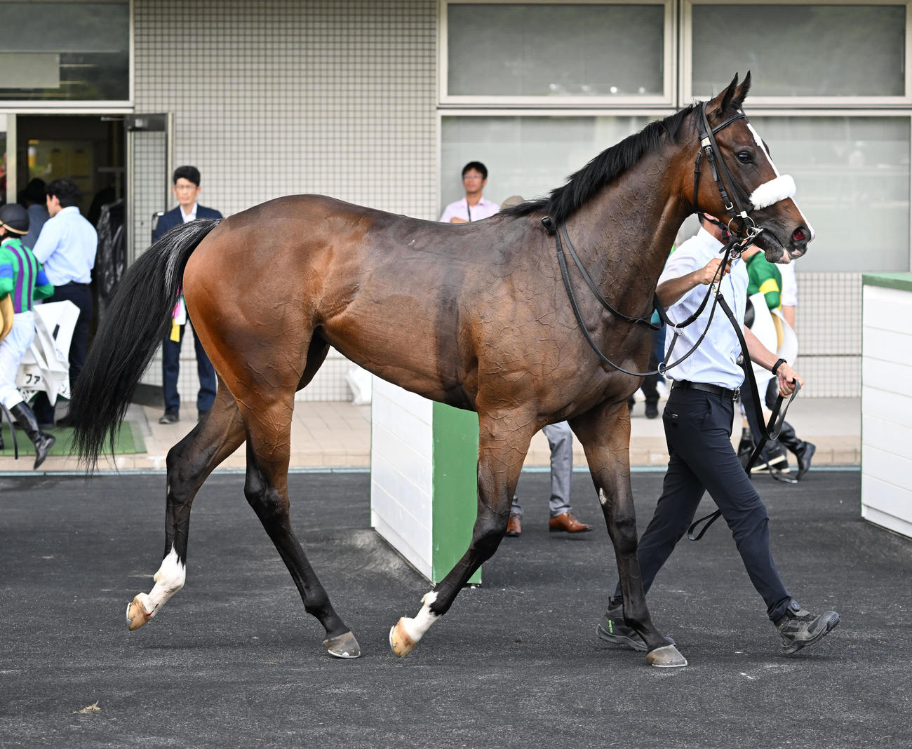 福島5R、2歳新馬戦を荻野騎手で制したルージュボヤージュ（撮影・千葉一成）