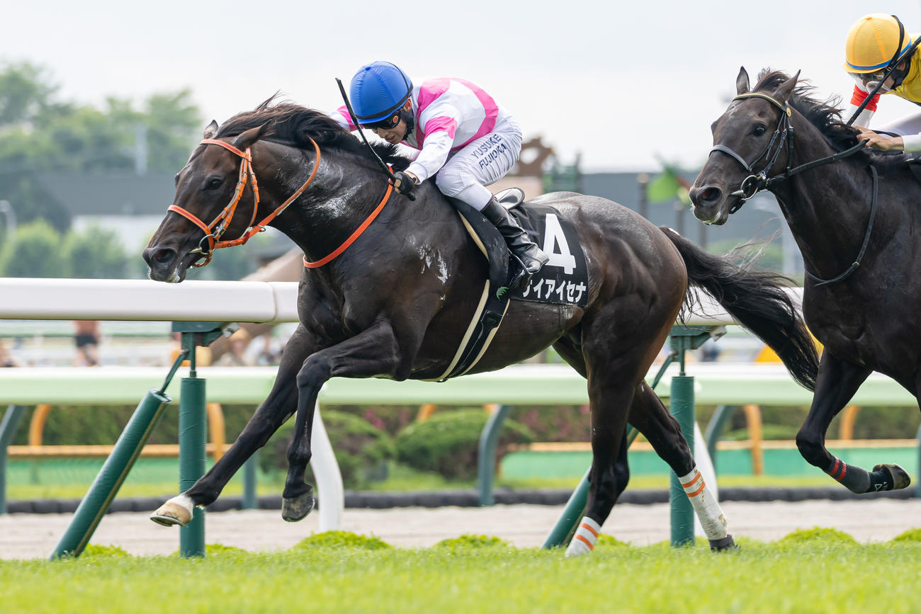函館11R、巴賞を制したケイアイセナと藤岡佑騎手（撮影・村野早祐）