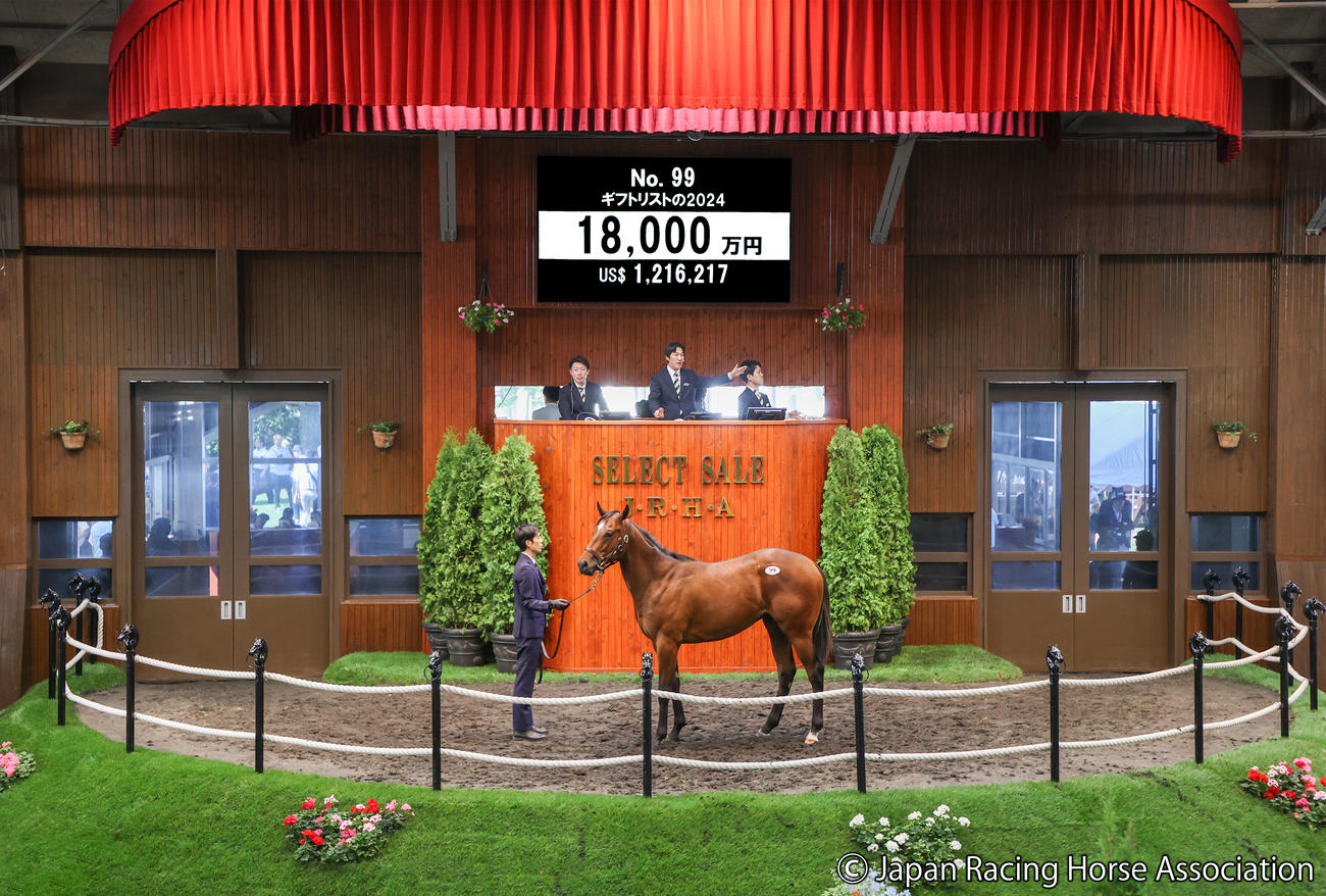 1億8000万円で落札されたギフトリストの24