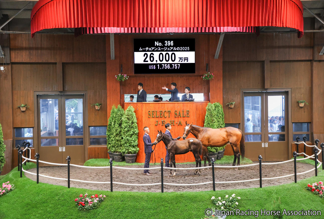 2億6000万円で落札されたムーチョアンユージュアルの25