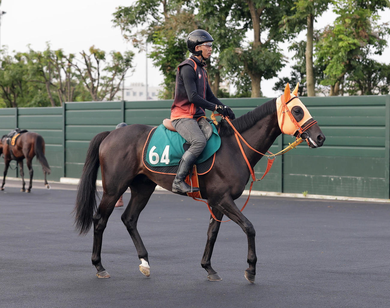 函館競馬場で調整するマイオウンウェイ