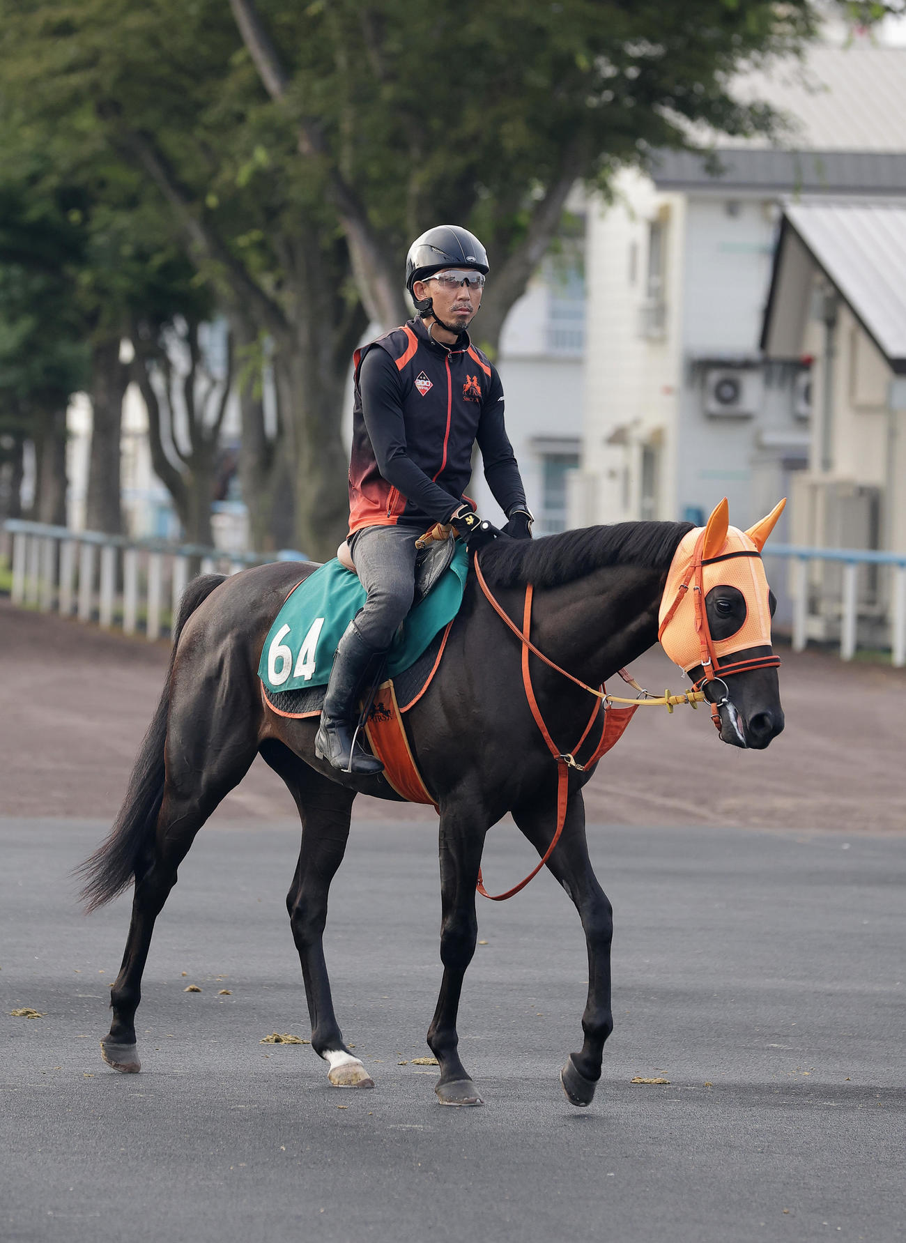 函館競馬場で調整するマイオウンウェイ