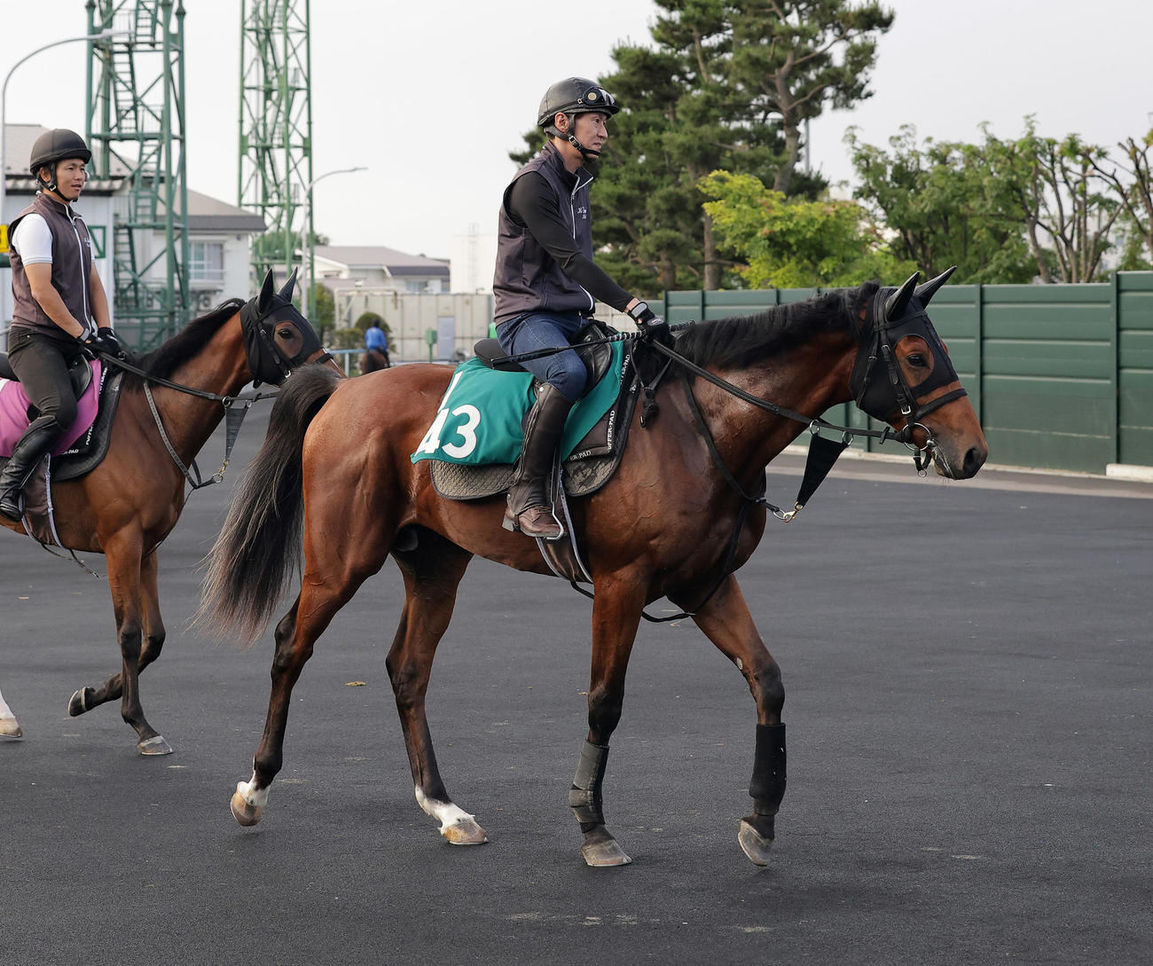 函館競馬場で調整するハムタン