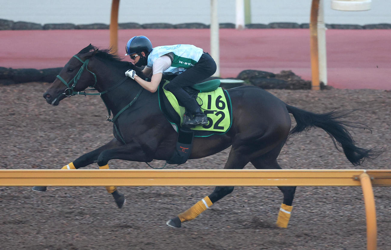 9日、松山騎手を背にCウッドで追い切るリアライズルミナス