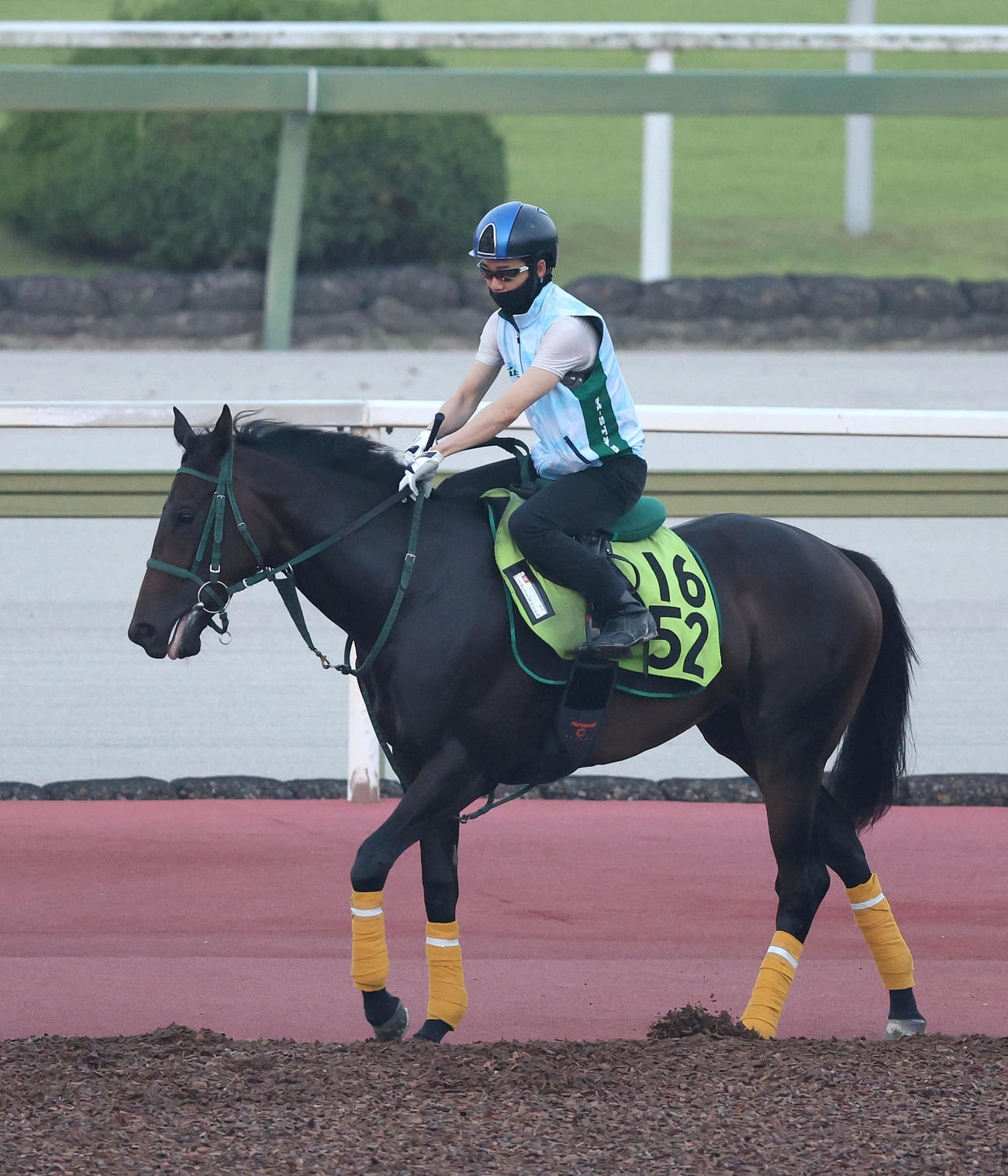 9日、松山騎手を背に馬場入りするリアライズルミナス