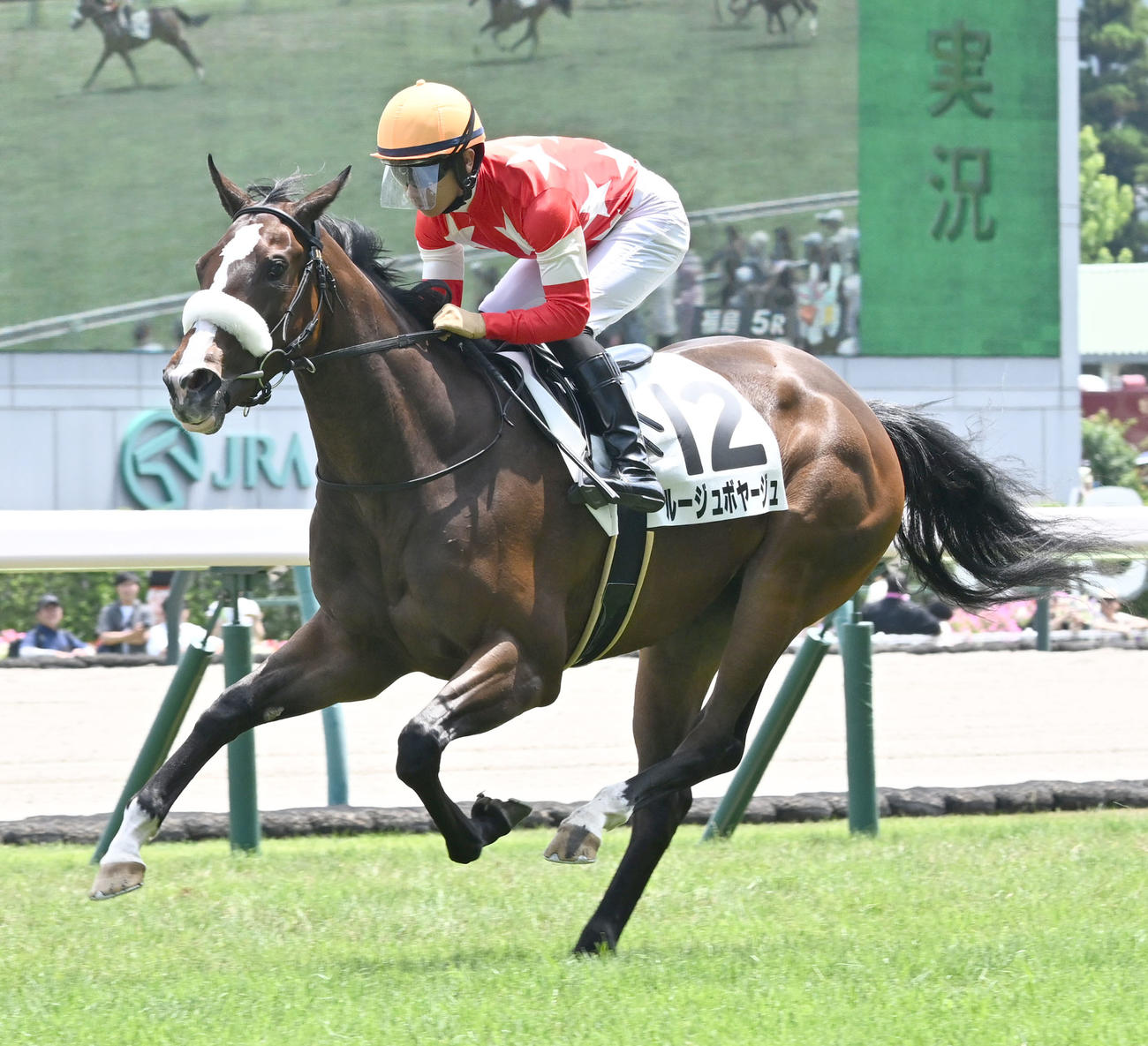 福島5R、2歳新馬戦を制したルージュボヤージュ（2025年7月13日撮影）