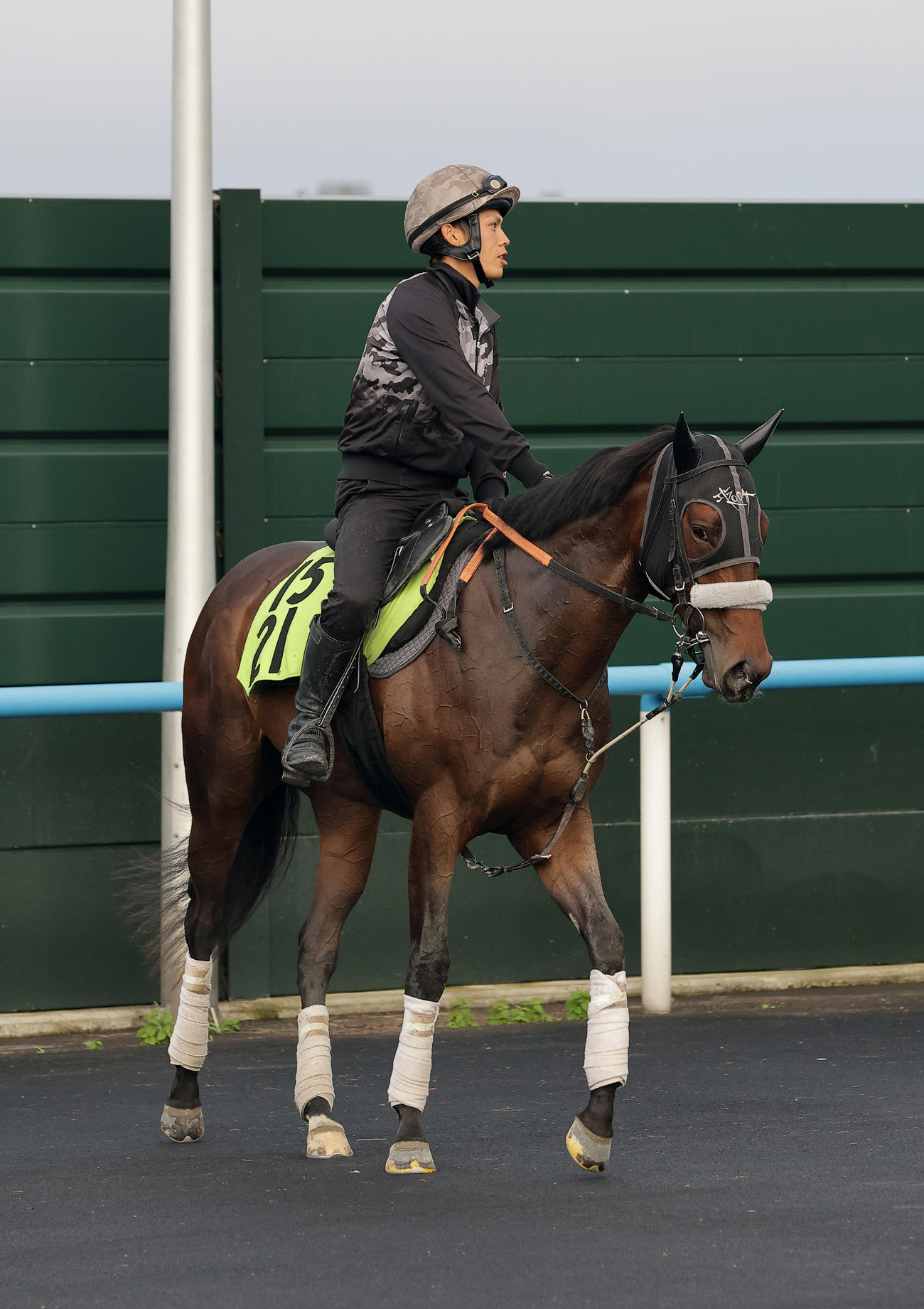 函館競馬場で調整するカイショー
